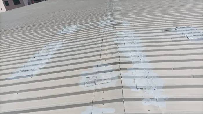 Painting Contracting (5)